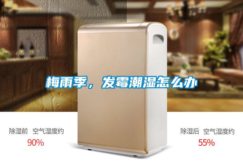 梅雨季，發黴潮濕怎麽辦