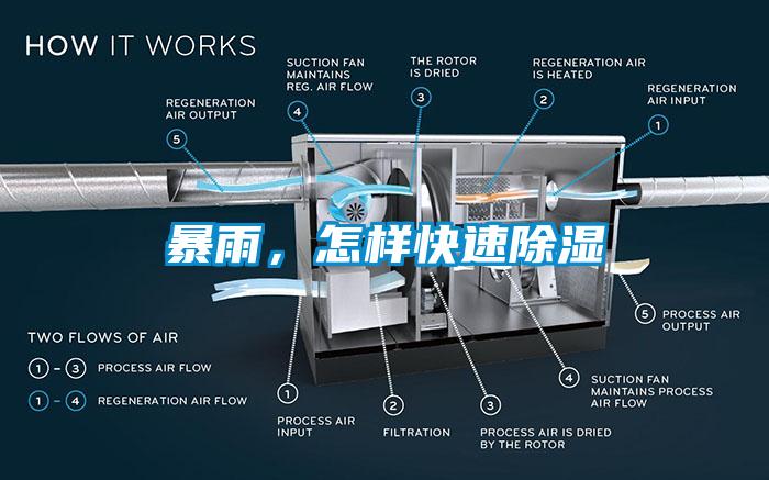 暴雨，怎樣快速除濕