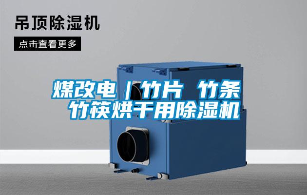 煤改電｜竹片 竹條 竹筷烘幹用91视频链接下载