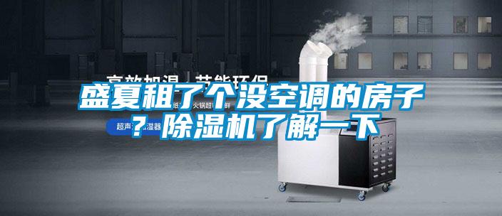 盛夏租了個沒空調的房子？91视频链接下载了解一下