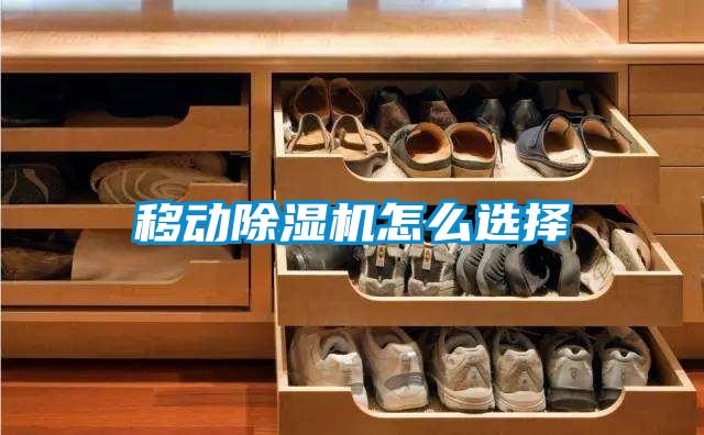 移動91视频链接下载怎麽選擇