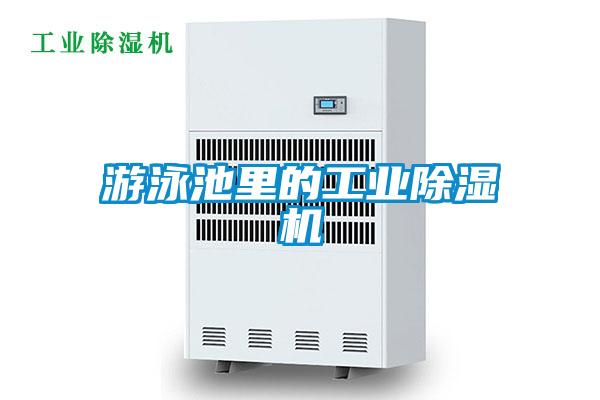 遊泳池裏的工業91视频链接下载