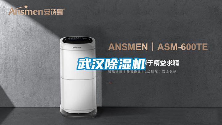 武漢91视频链接下载