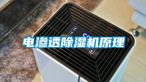 電滲透91视频链接下载原理