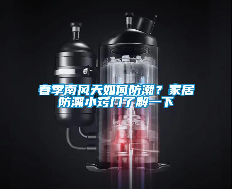 春季南風天如何防潮？家居防潮小竅門了解一下