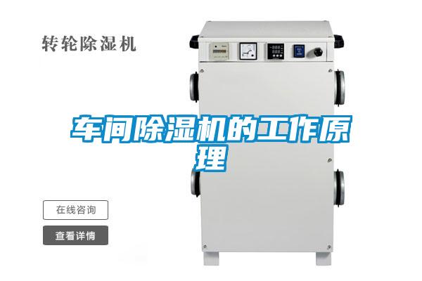 車間91视频链接下载的工作原理