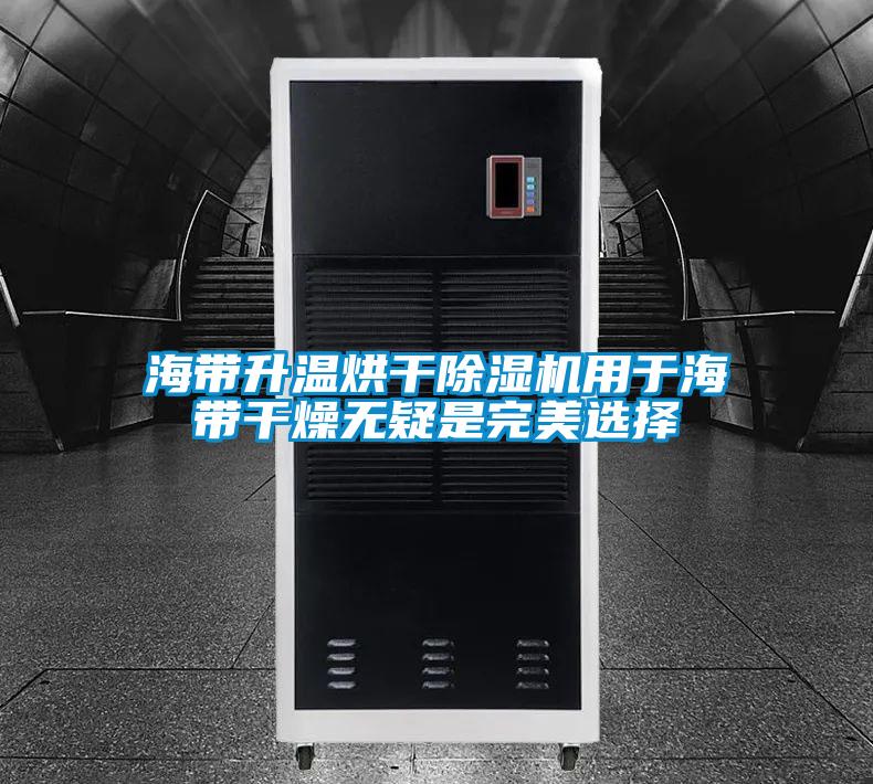 海帶升溫烘幹91视频链接下载用於海帶幹燥無疑是完美選擇