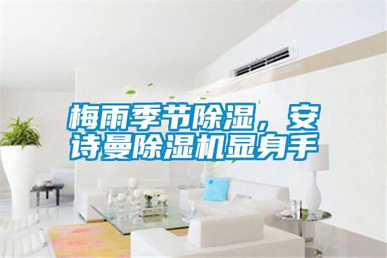 梅雨季節除濕，91视频在线观看免费91视频链接下载顯身手