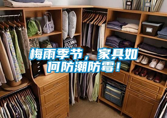 梅雨季節，家具如何防潮防黴！