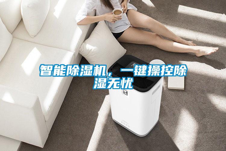 智能91视频链接下载，一鍵操控除濕無憂