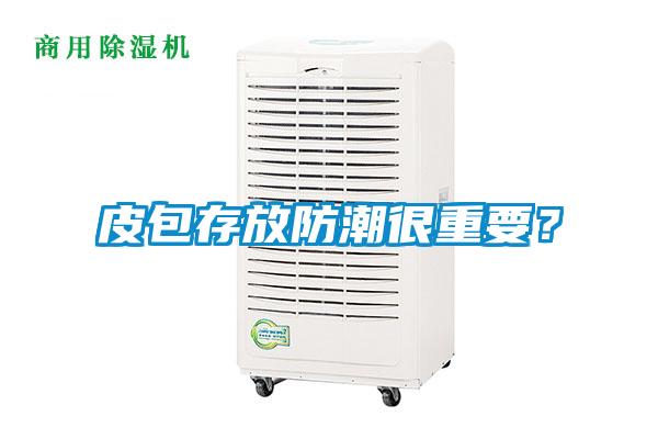 皮包存放防潮很重要？