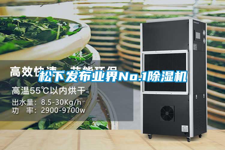 鬆下發布業界No.191视频链接下载