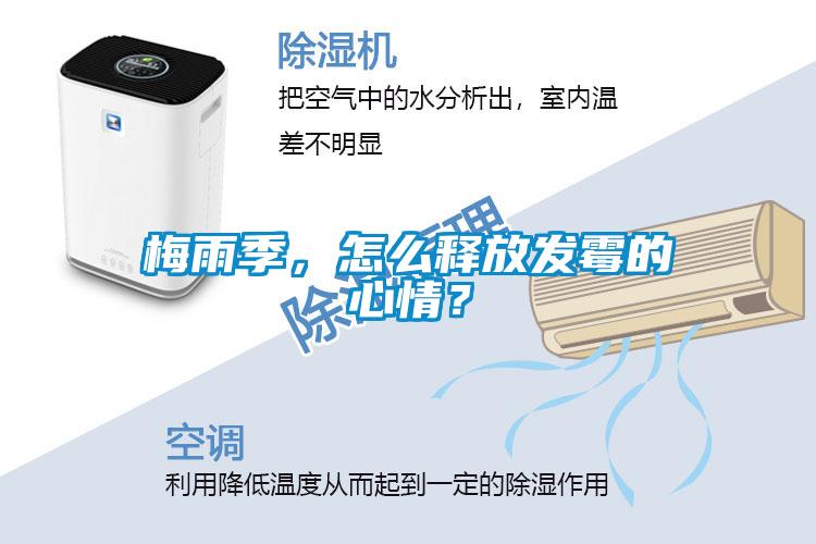 梅雨季，怎麽釋放發黴的心情？