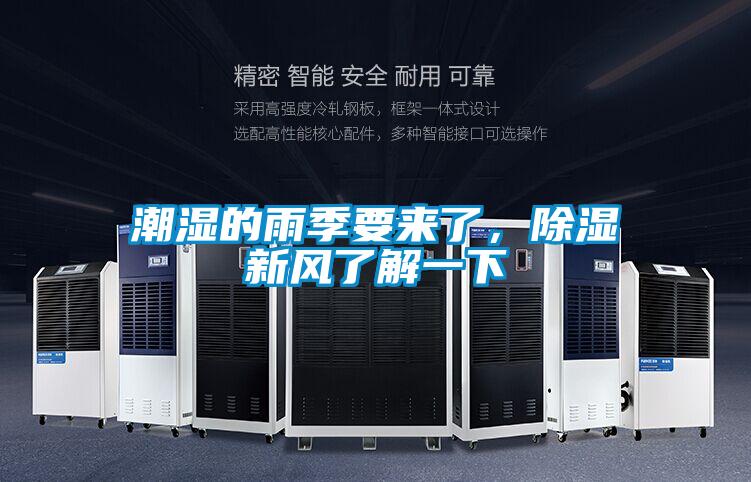 潮濕的雨季要來了，除濕新風了解一下