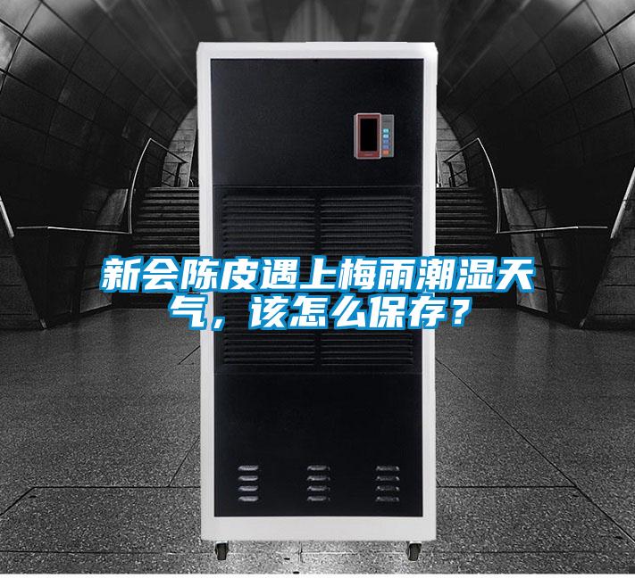 新會陳皮遇上梅雨潮濕天氣，該怎麽保存？