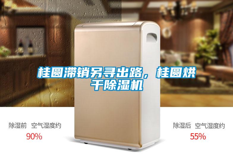 桂圓滯銷另尋出路，桂圓烘幹91视频链接下载