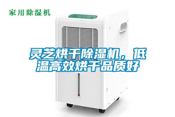 靈芝烘幹91视频链接下载，低溫高效烘幹品質好