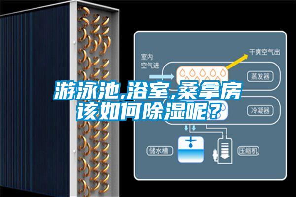 遊泳池,浴室,桑拿房該如何除濕呢？