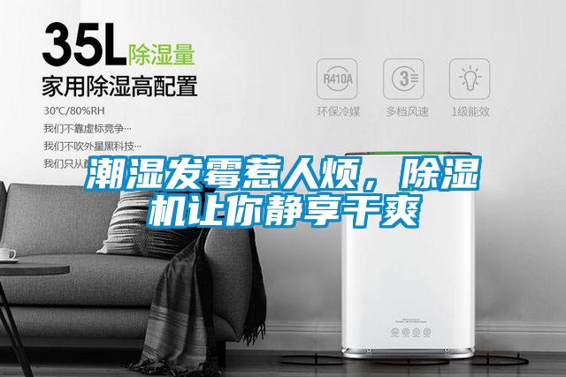 潮濕發黴惹人煩，91视频链接下载讓你靜享幹爽