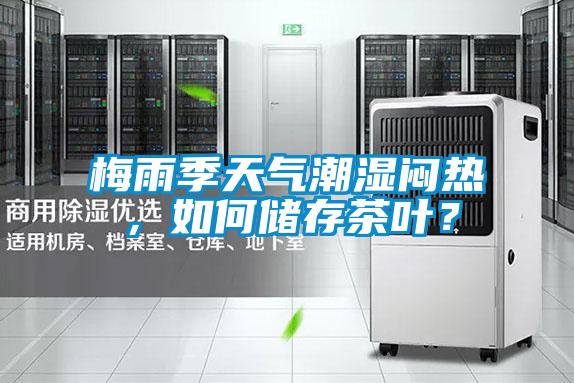 梅雨季天氣潮濕悶熱，如何儲存茶葉？