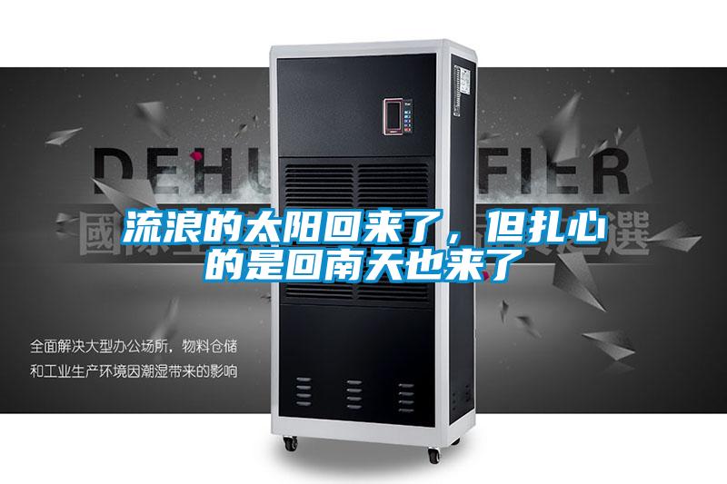 流浪的太陽回來了，但紮心的是回南天也來了