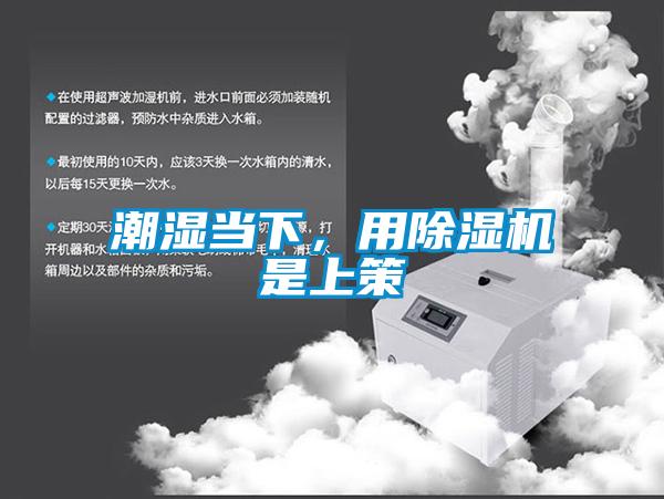 潮濕當下，用91视频链接下载是上策