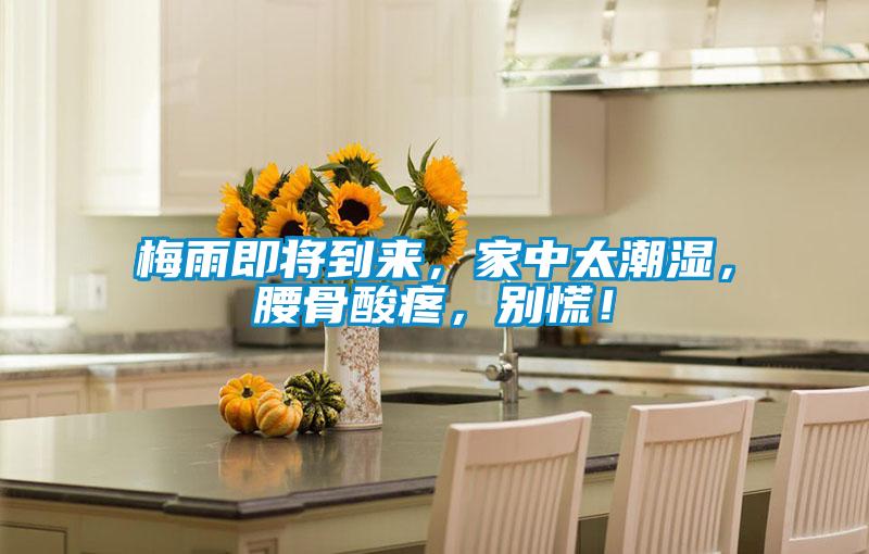 梅雨即將到來，家中太潮濕，腰骨酸疼，別慌！