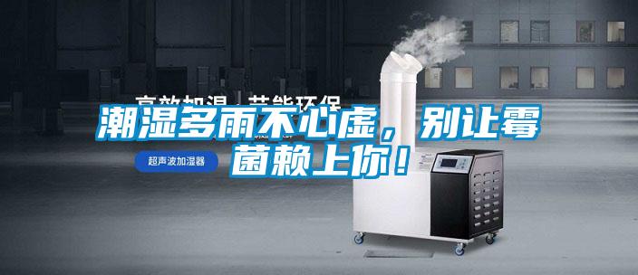 潮濕多雨不心虛，別讓黴菌賴上你！