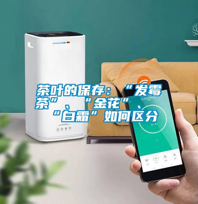 茶葉的保存：“發黴茶”、“金花”、“白霜”如何區分