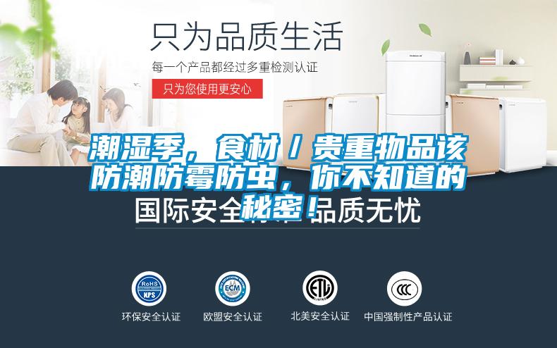 潮濕季，食材／貴重物品該防潮防黴防蟲，你不知道的秘密！