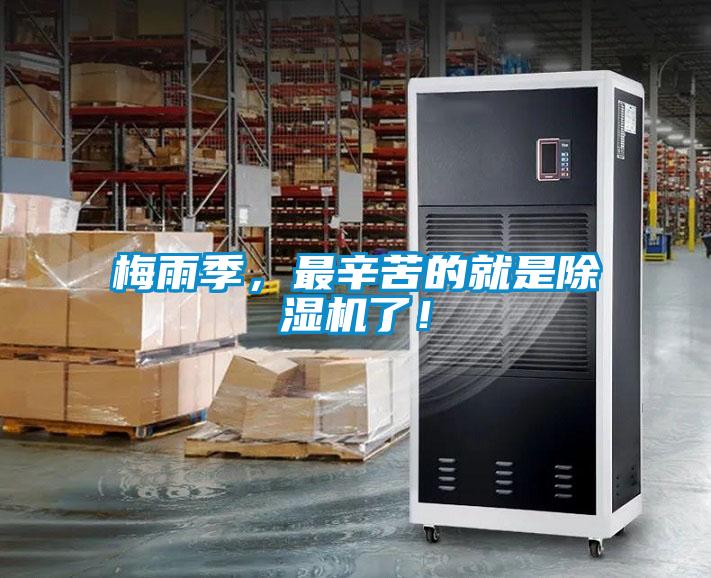 梅雨季，最辛苦的就是91视频链接下载了！