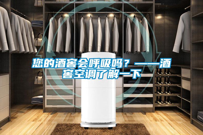 您的酒窖會呼吸嗎？——酒窖空調了解一下