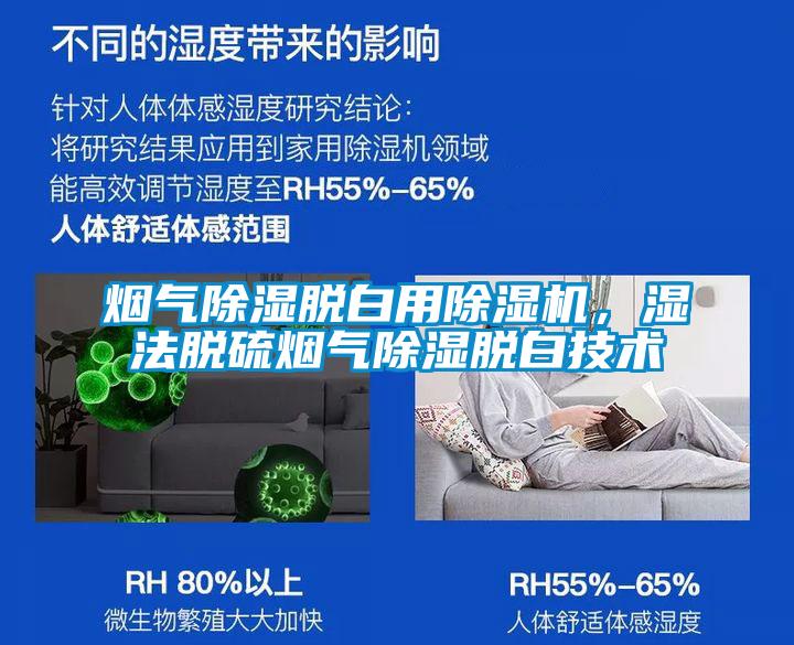 煙氣除濕脫白用91视频链接下载，濕法脫硫煙氣除濕脫白技術