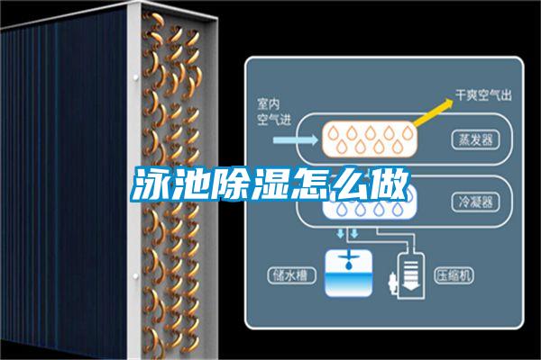 泳池除濕怎麽做