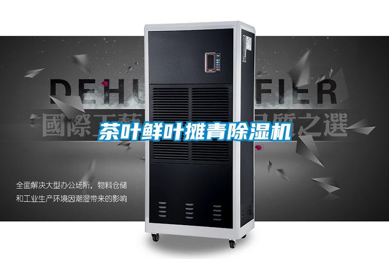 茶葉鮮葉攤青91视频链接下载