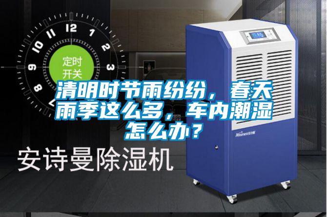 清明時節雨紛紛，春天雨季這麽多，車內潮濕怎麽辦？