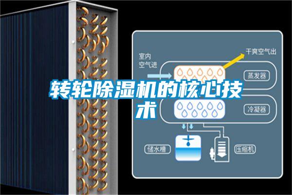 轉輪91视频链接下载的核心技術