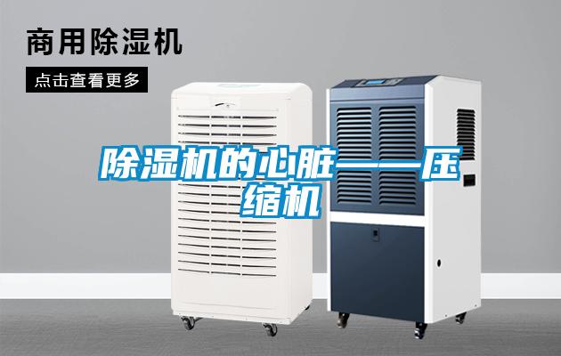 91视频链接下载的心髒——壓縮機