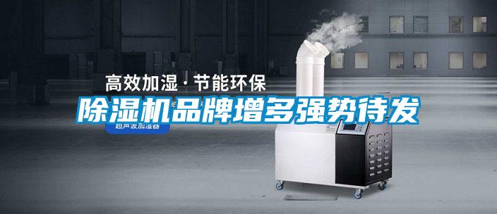 91视频链接下载品牌增多強勢待發