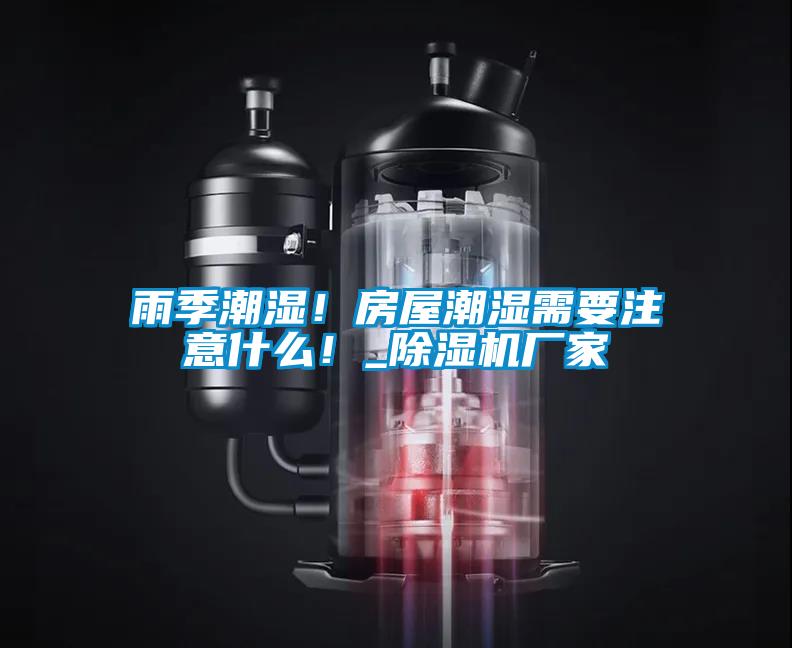 雨季潮濕！房屋潮濕需要注意什麽！_91视频链接下载廠家