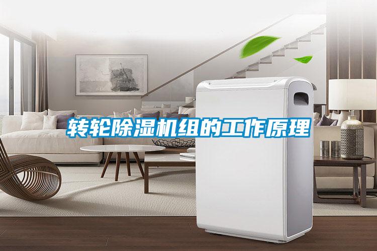 轉輪91视频链接下载組的工作原理