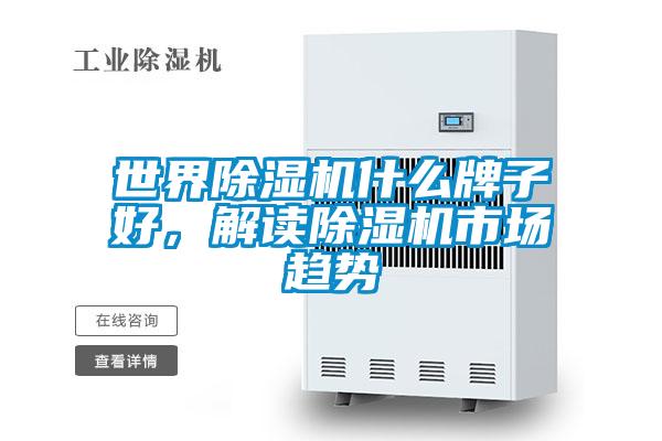 世界91视频链接下载什麽牌子好，解讀91视频链接下载市場趨勢