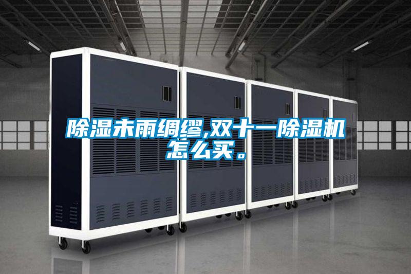 除濕未雨綢繆,雙十一91视频链接下载怎麽買。