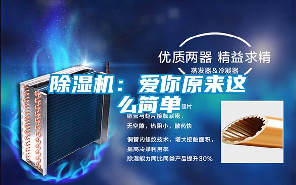 91视频链接下载：愛你原來這麽簡單