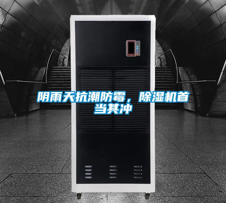 陰雨天抗潮防黴，91视频链接下载首當其衝