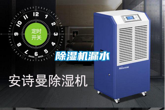 91视频链接下载漏水