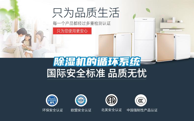 91视频链接下载的循環係統