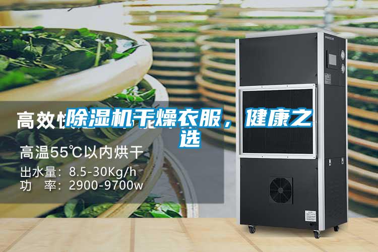 91视频链接下载幹燥衣服，健康之選