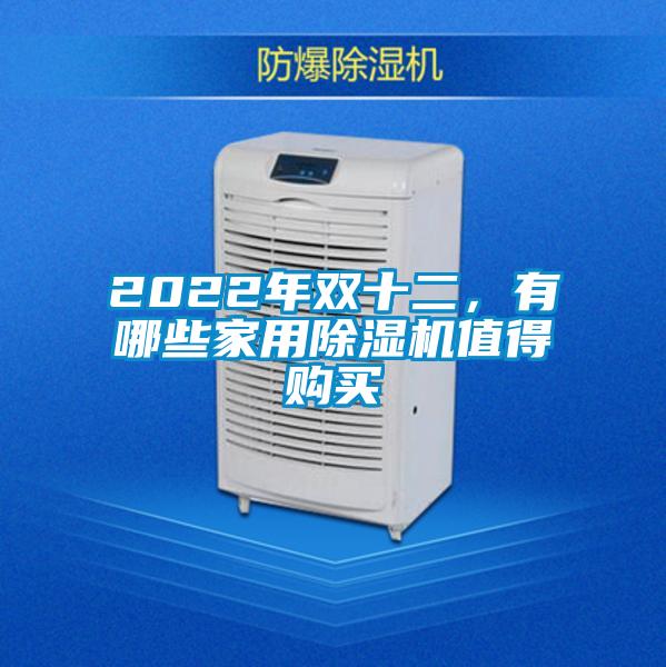 2022年雙十二，有哪些家用91视频链接下载值得購買