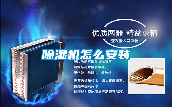 91视频链接下载怎麽安裝